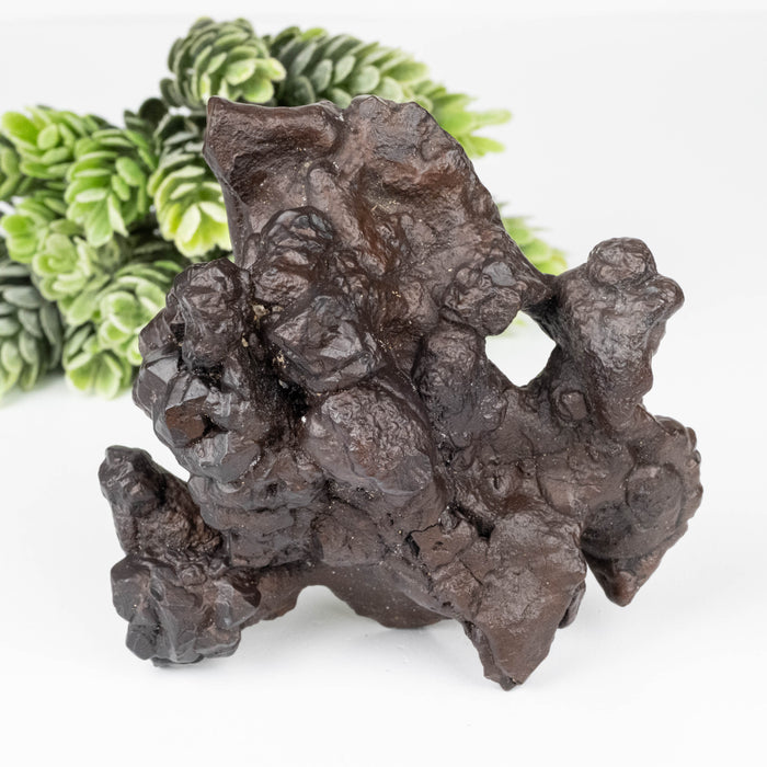 Prophecy Stone 220 g 92x91mm