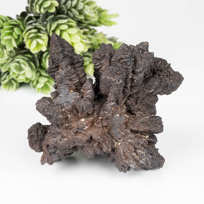 Prophecy Stone 228 g 85x71mm