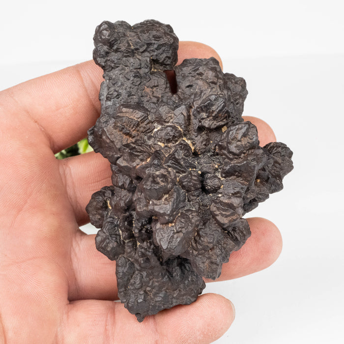 Prophecy Stone 264 g 96x68mm