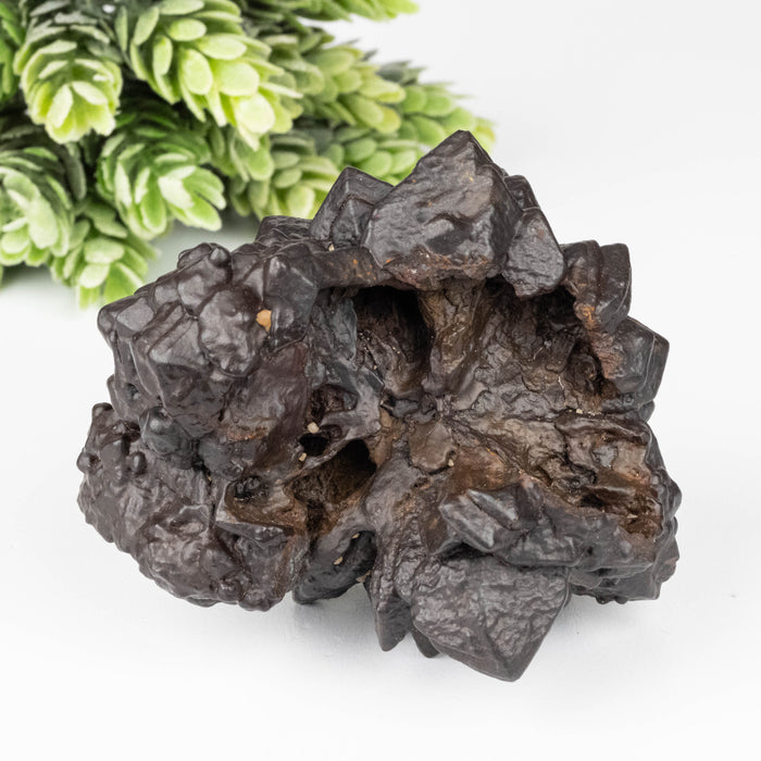 Prophecy Stone 260 g 77x58mm