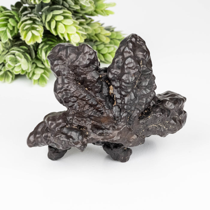 Prophecy Stone 212 g 75x68mm