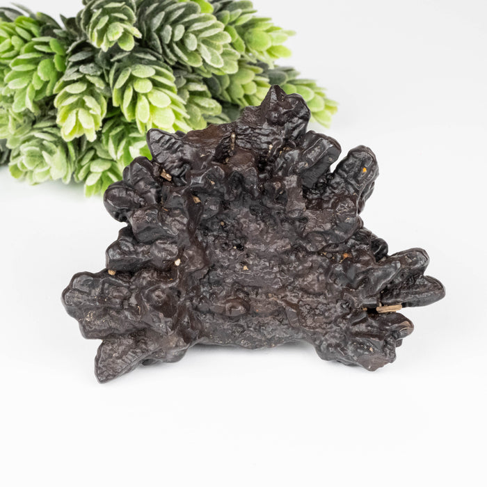 Prophecy Stone 236 g73x67mm