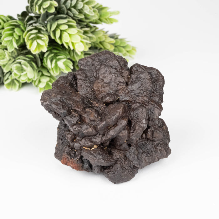 Prophecy Stone 182 g 93x65mm