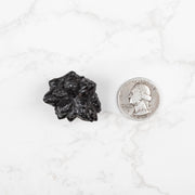 Prophecy Stone 35 g 30x28mm - InnerVision Crystals