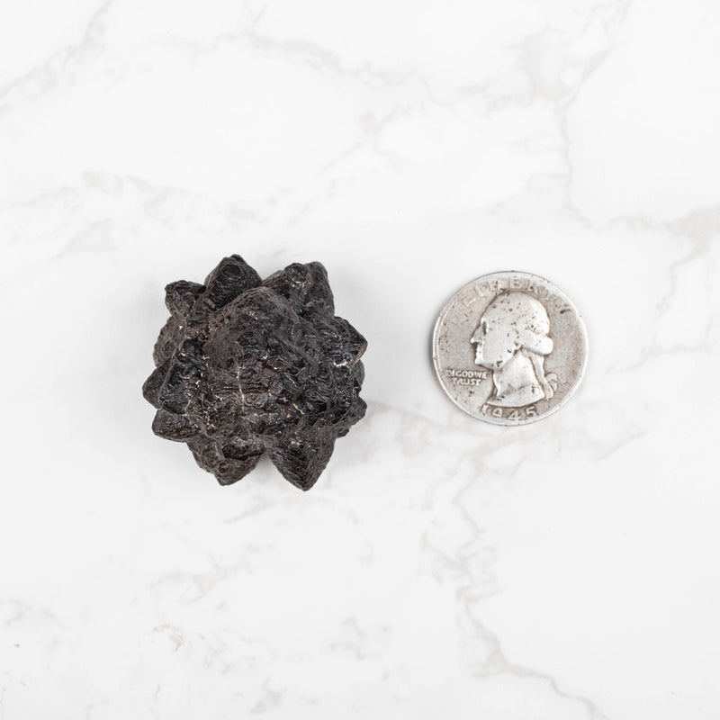 Prophecy Stone 49 g 35x33mm - InnerVision Crystals