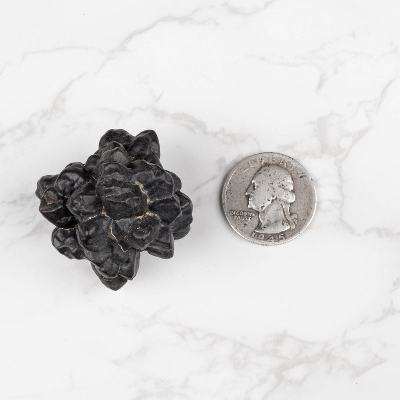 Prophecy Stone 62 g 40x37mm - InnerVision Crystals