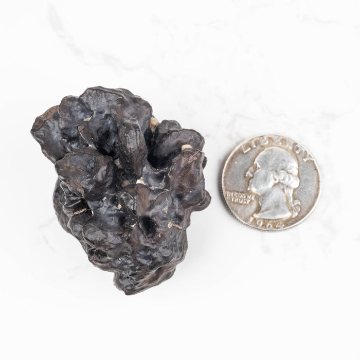 Prophecy Stone Pseudomorph 67.67 g 46x43mm