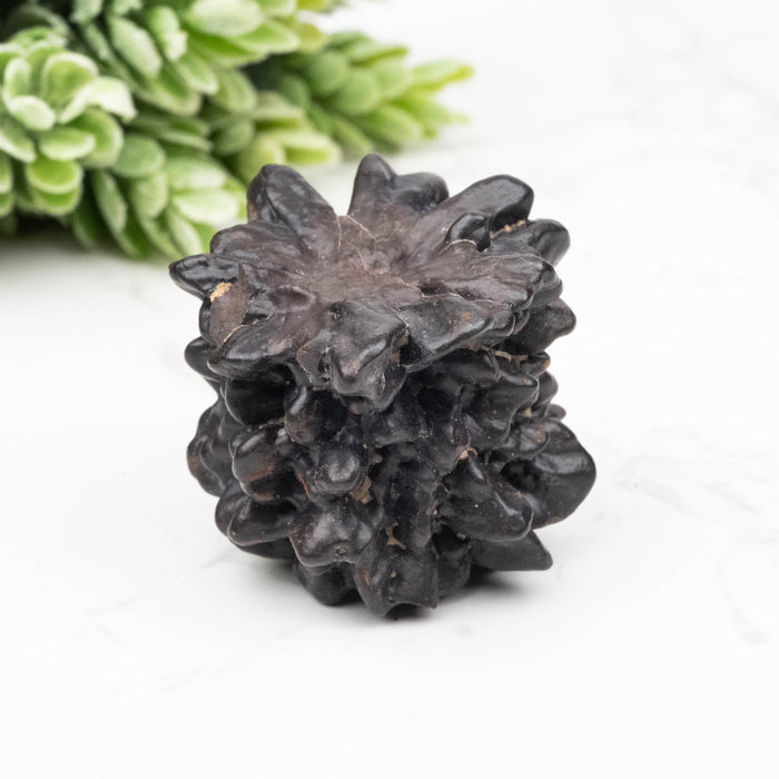 Prophecy Stone Pseudomorph 50 g 32x30mm