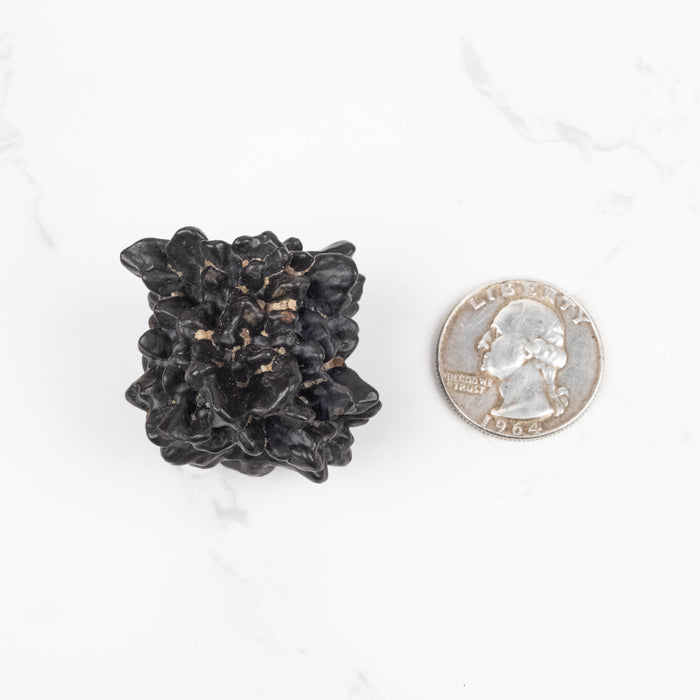 Prophecy Stone Pseudomorph 50 g 32x30mm