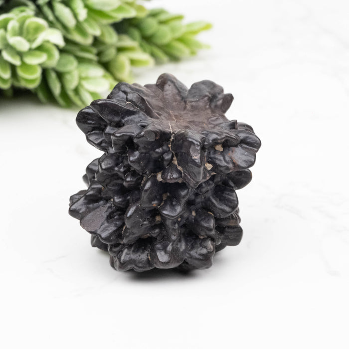 Prophecy Stone Pseudomorph 50 g 32x30mm