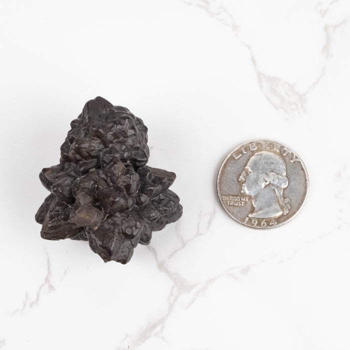 Prophecy Stone Pseudomorph 55 g 41x34mm