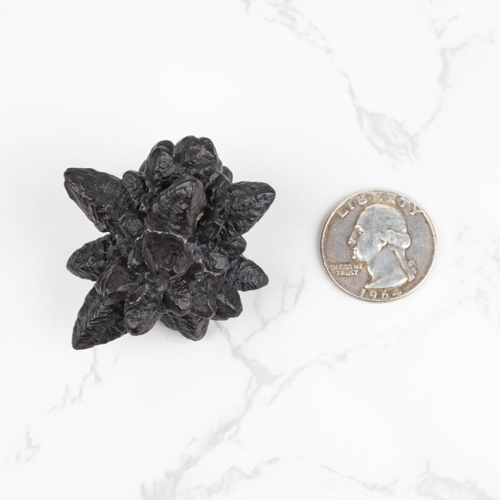 Prophecy Stone Pseudomorph 55 g 50x46mm