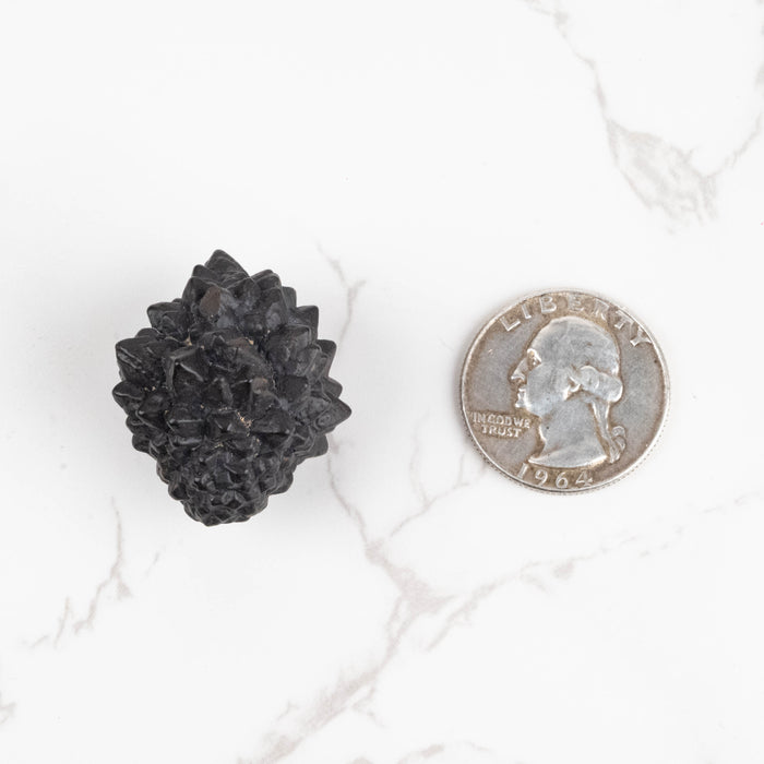 Prophecy Stone Pseudomorph 25 g 30x27mm