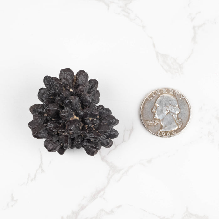 Prophecy Stone Pseudomorph 54 g 43x37mm