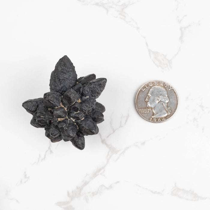 Prophecy Stone Pseudomorph 63 g 50x44mm