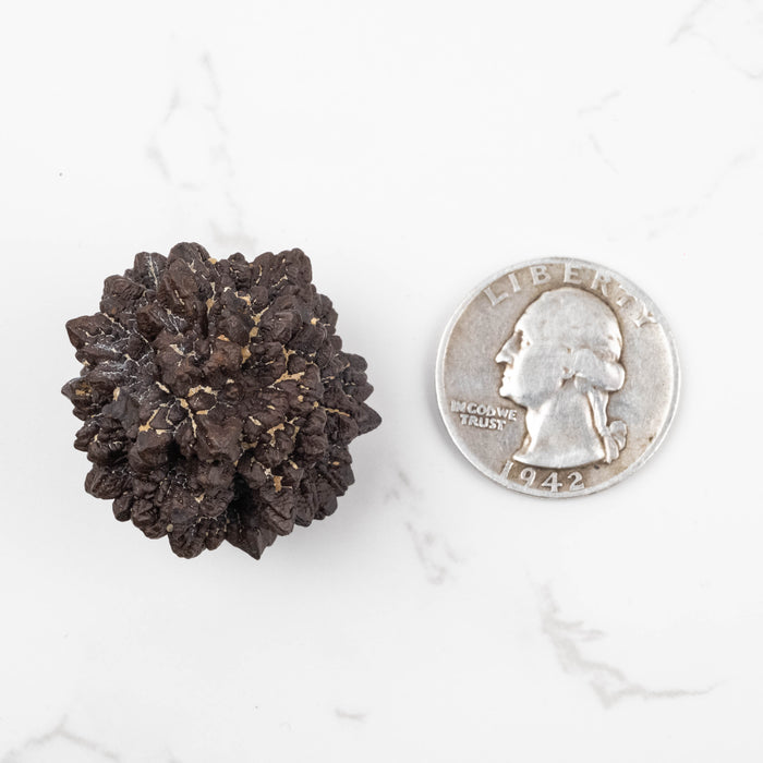 Prophecy Stone Pseudomorph 29 g 29x27mm