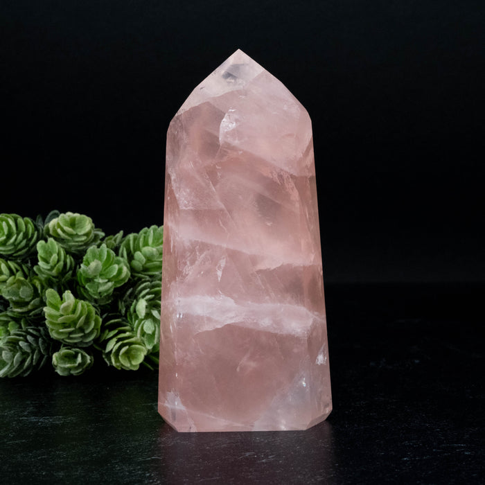 Rose Quartz 314 g 119x55mm
