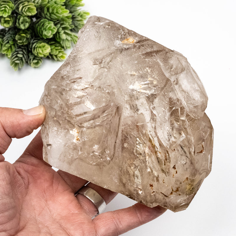 Smoky Quartz Crystal 1220 g 147x120mm DT Self Healed