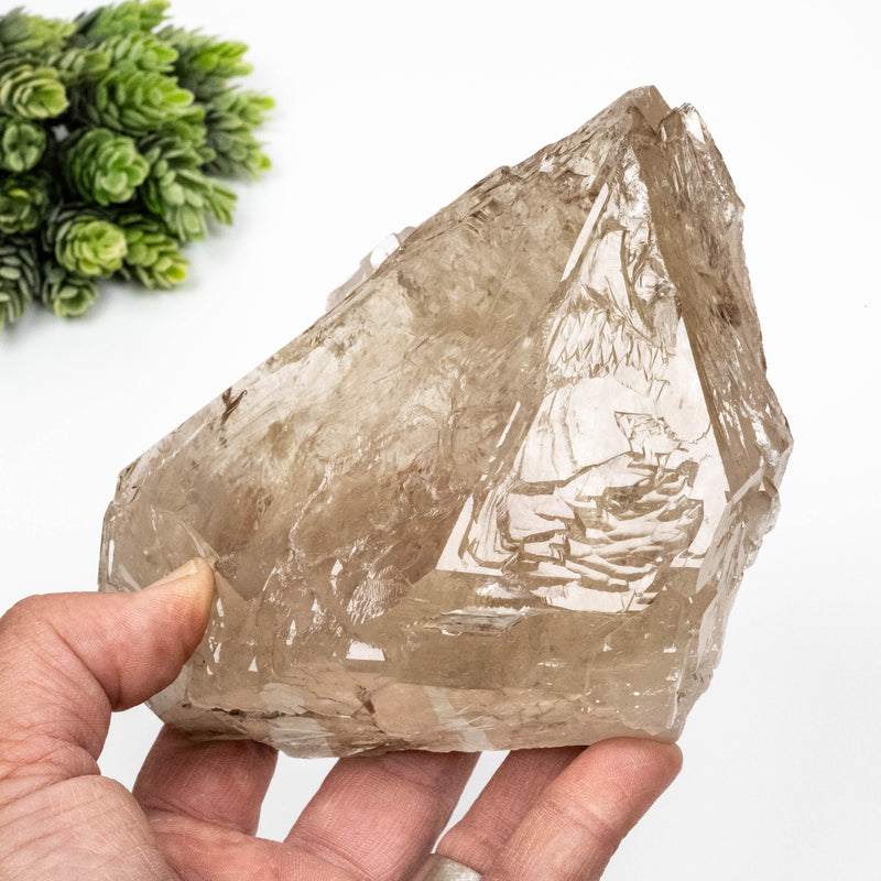 Smoky Quartz Crystal 1220 g 147x120mm DT Self Healed