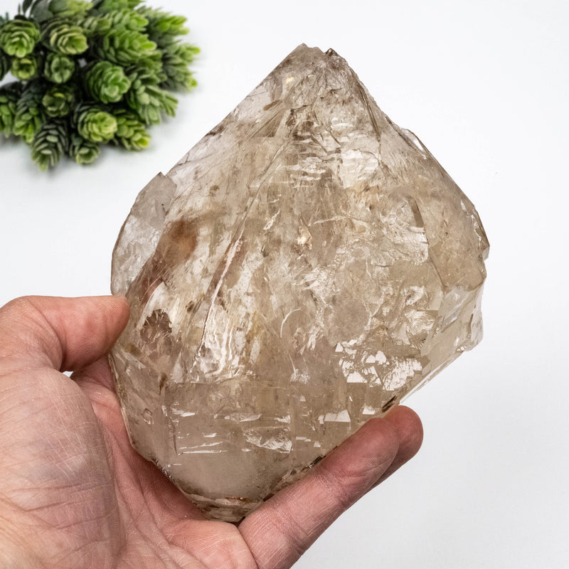 Smoky Quartz Crystal 1220 g 147x120mm DT Self Healed