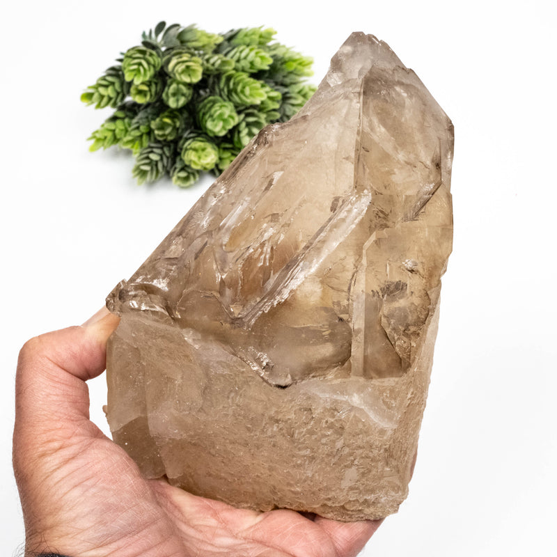 Smoky Quartz Crystal 1966 g 178x116mm DT Self Healed