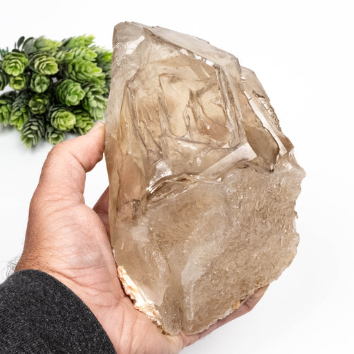 Smoky Quartz Crystal 1966 g 178x116mm DT Self Healed - InnerVision Crystals