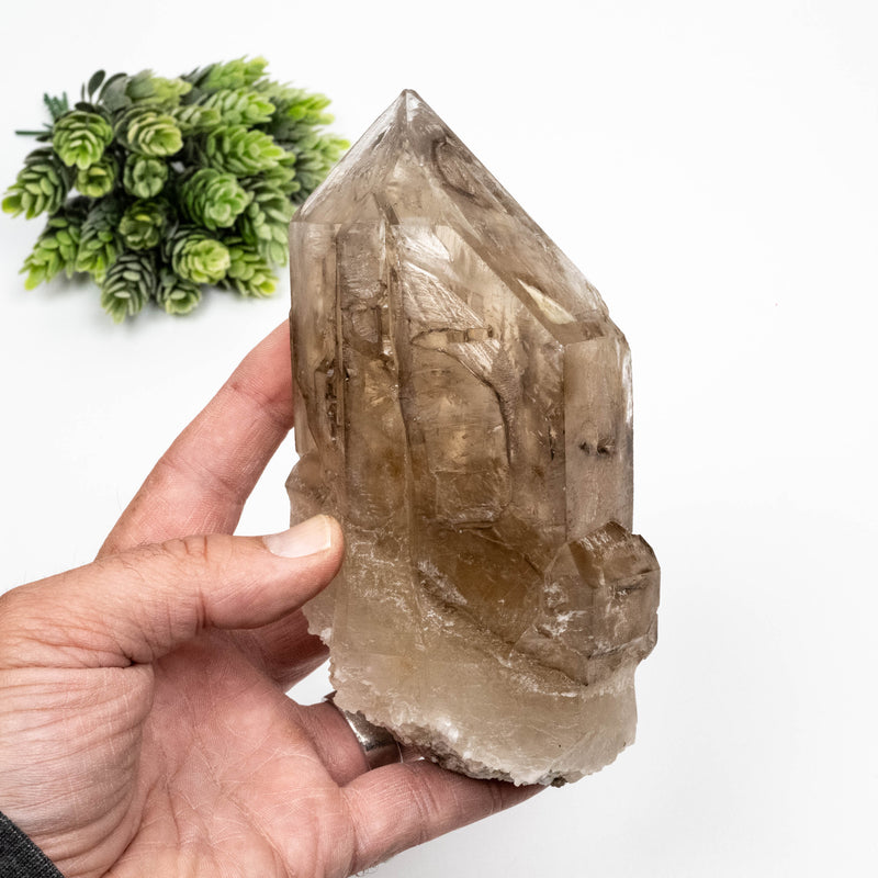 Smoky Quartz Crystal 976 g 153x82mm Cathedral