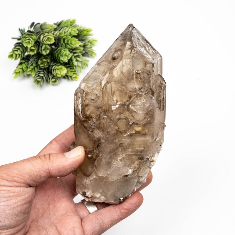 Smoky Quartz Crystal 976 g 153x82mm Cathedral