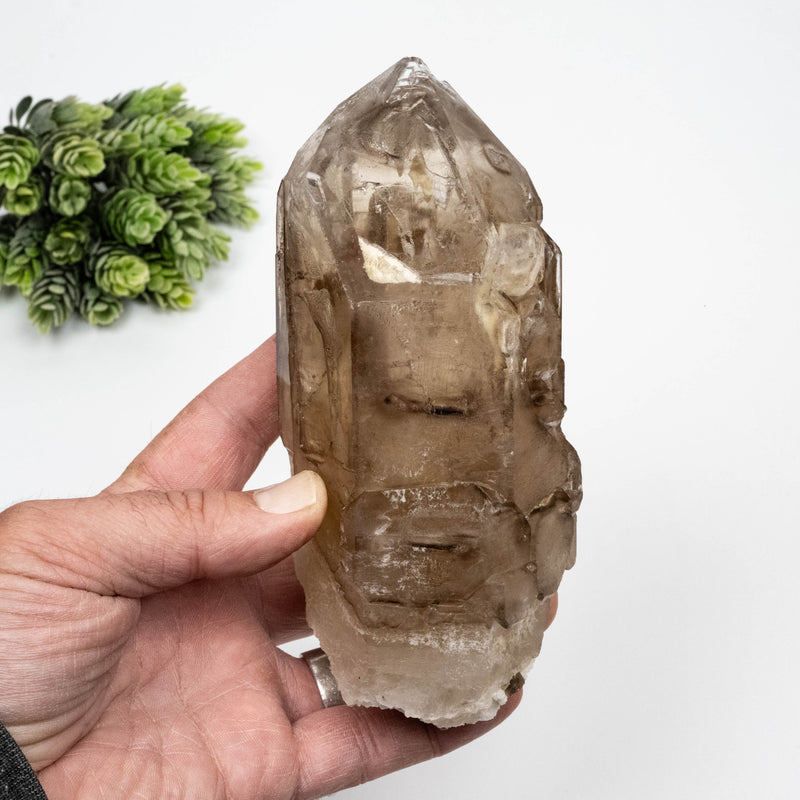 Smoky Quartz Crystal 976 g 153x82mm Cathedral