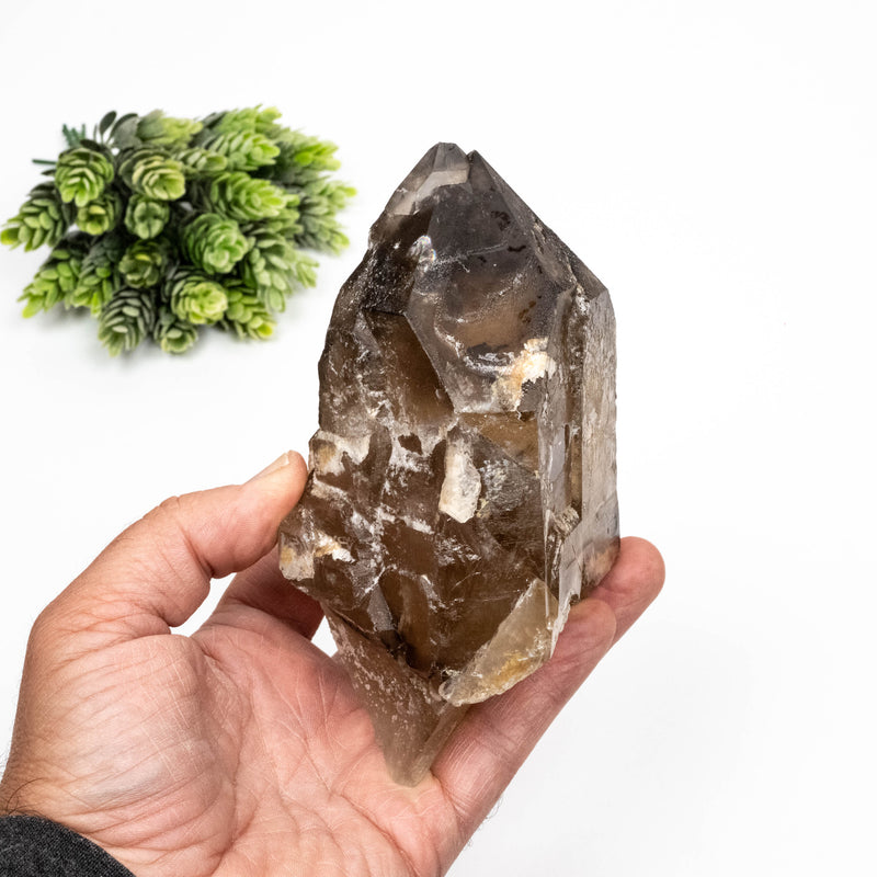 Smoky Quartz Crystal 932 g 146x87mm