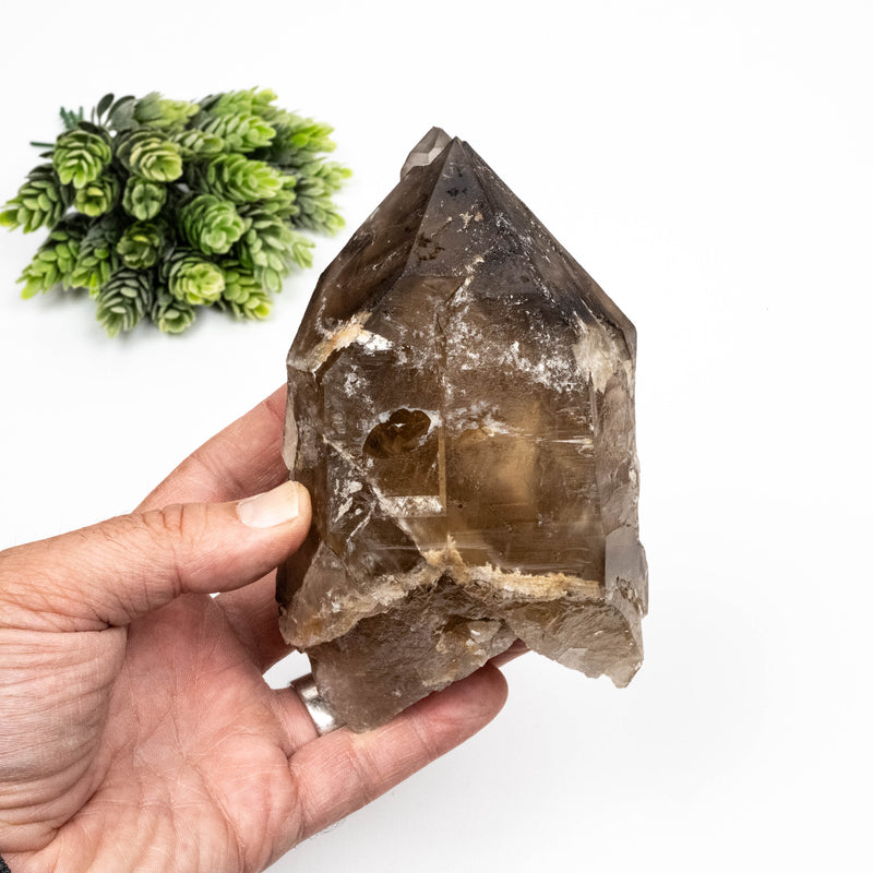 Smoky Quartz Crystal 932 g 146x87mm