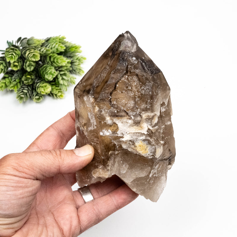 Smoky Quartz Crystal 932 g 146x87mm