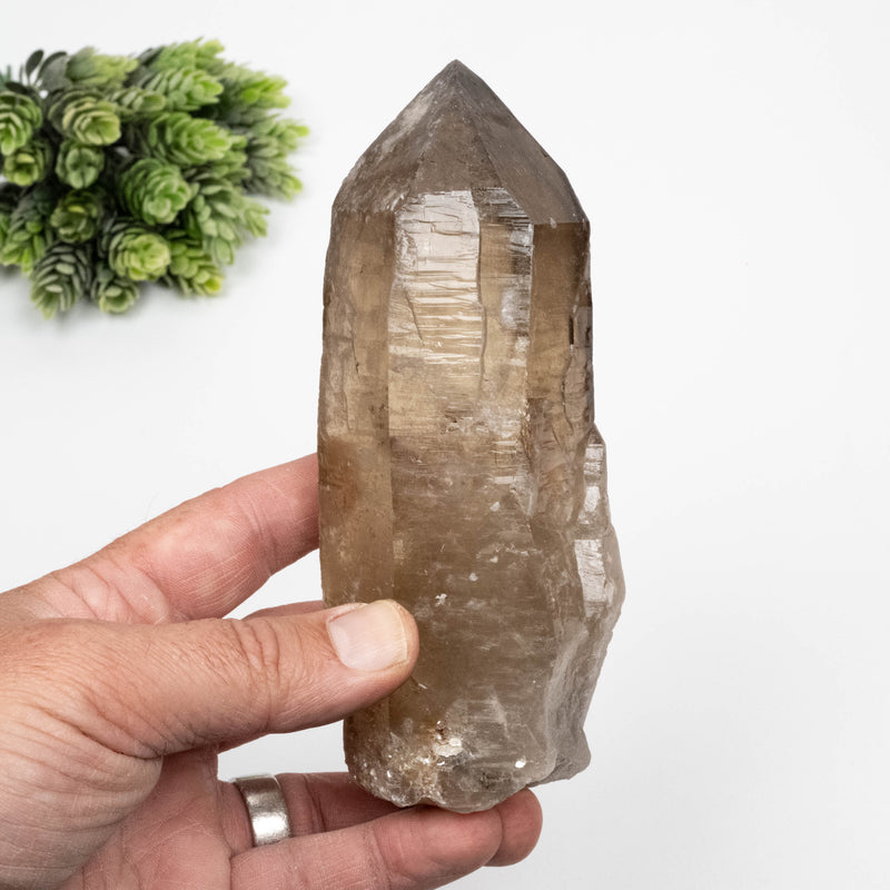 Smoky Quartz Crystal 592 g 147x61mm