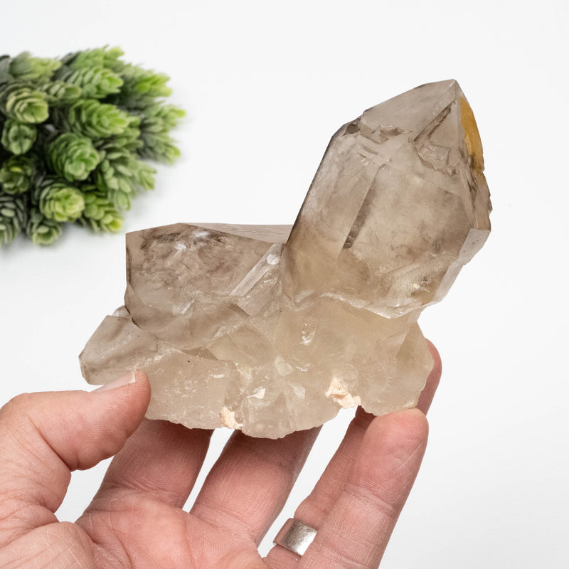 Smoky Quartz Crystal 464 g 127x71mm