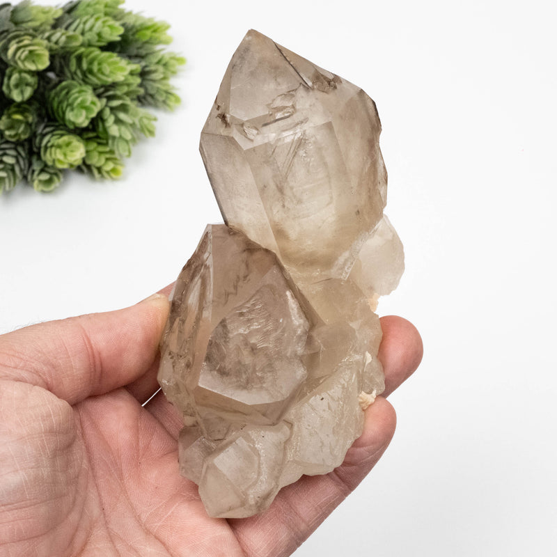 Smoky Quartz Crystal 464 g 127x71mm