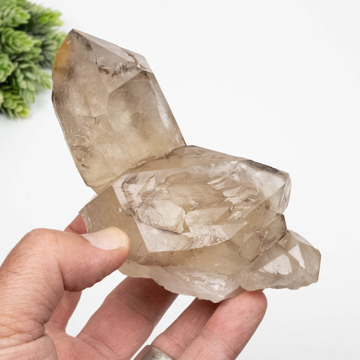 Smoky Quartz Crystal 464 g 127x71mm - InnerVision Crystals