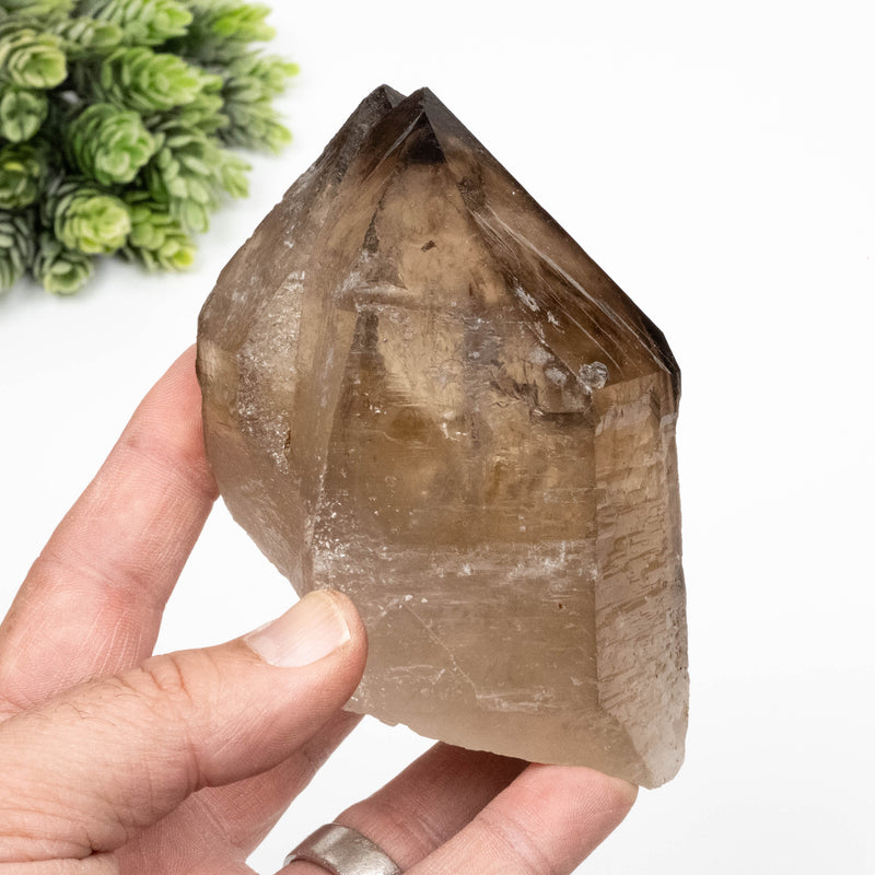 Smoky Quartz Crystal 586 g 117x75mm