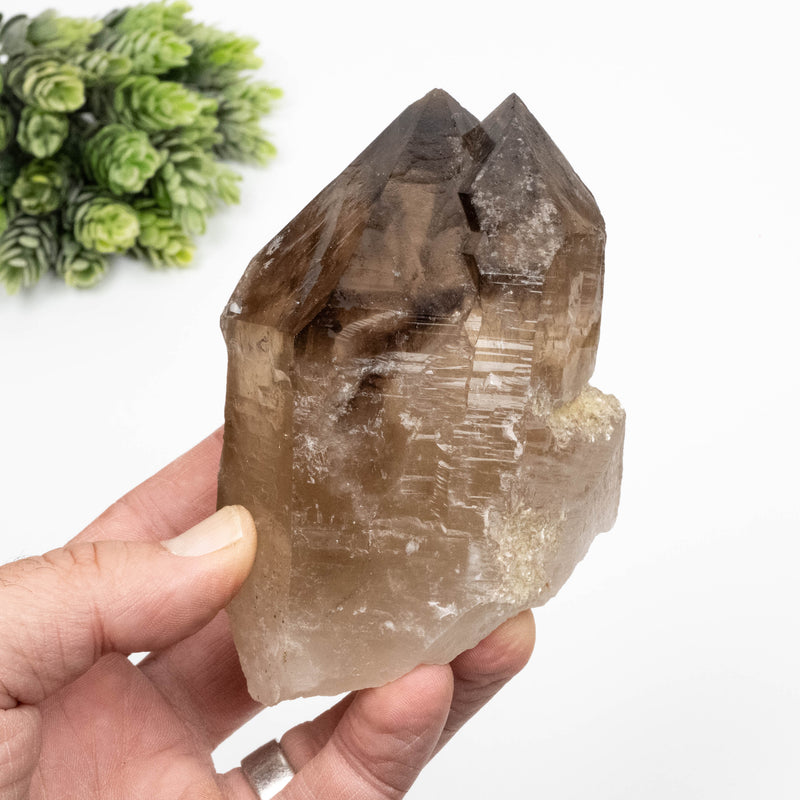 Smoky Quartz Crystal 586 g 117x75mm