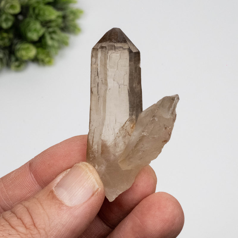Smoky Quartz Crystal 31 g 60x34mm
