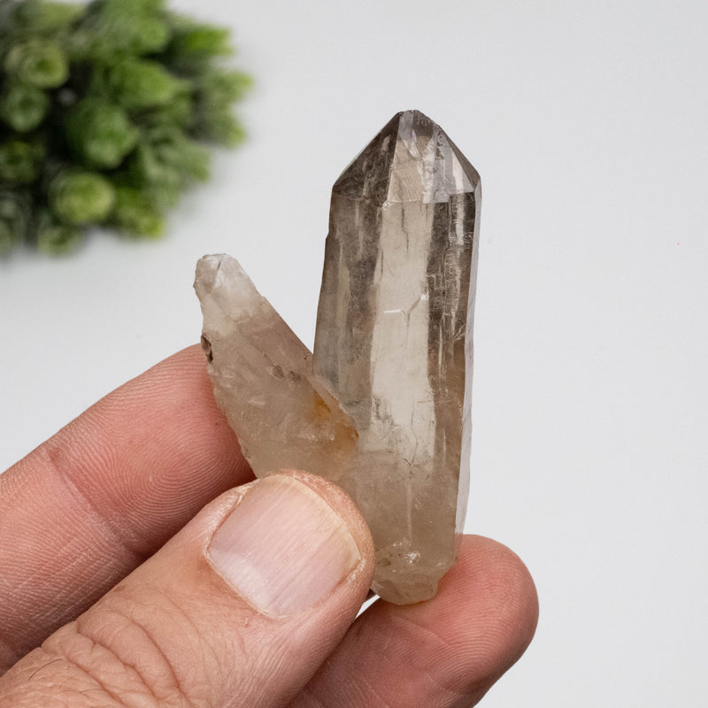 Smoky Quartz Crystal 31 g 60x34mm