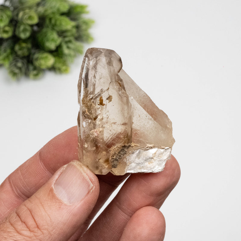 Smoky Quartz Crystal 42 g 51x37mm Tabby