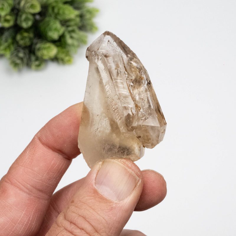 Smoky Quartz Crystal 42 g 51x37mm Tabby