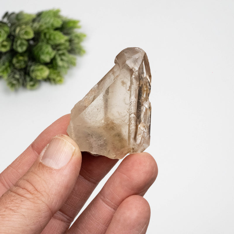 Smoky Quartz Crystal 42 g 51x37mm Tabby