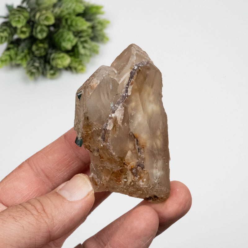 Smoky Quartz Crystal 128 g 71x43mm w/ Tourmaline