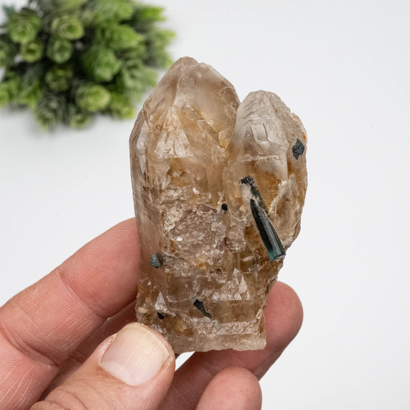 Smoky Quartz Crystal 128 g 71x43mm w/ Tourmaline