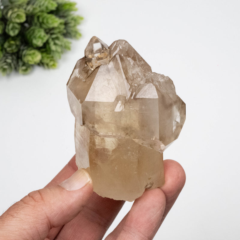 Smoky Quartz Crystal 280 g 83x54mm Scepter