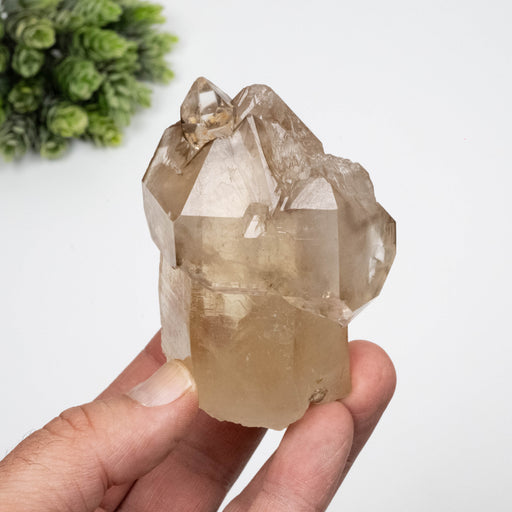 Smoky Quartz Crystal 280 g 83x54mm Scepter - InnerVision Crystals