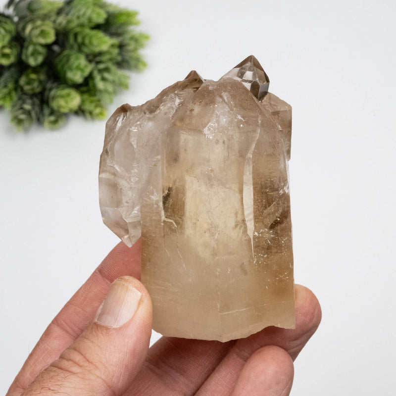 Smoky Quartz Crystal 280 g 83x54mm Scepter