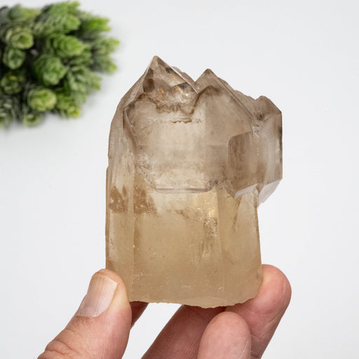 Smoky Quartz Crystal 280 g 83x54mm Scepter - InnerVision Crystals