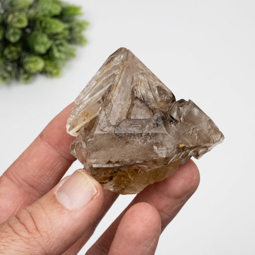 Smoky Quartz Crystal 134 g 61x60mm Skeletal Smoky Citrine - InnerVision Crystals